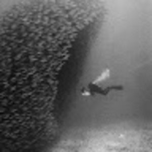 Meet your Posher, Ilya